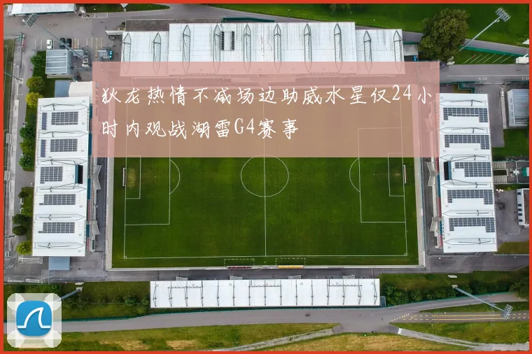 狄龙热情不减场边助威水星仅24小时内观战湖雷G4赛事